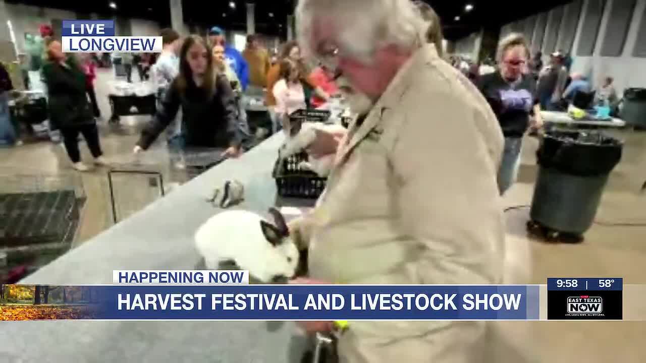 Harvest Festival livestock show kicks off with rabbit judging in Longview