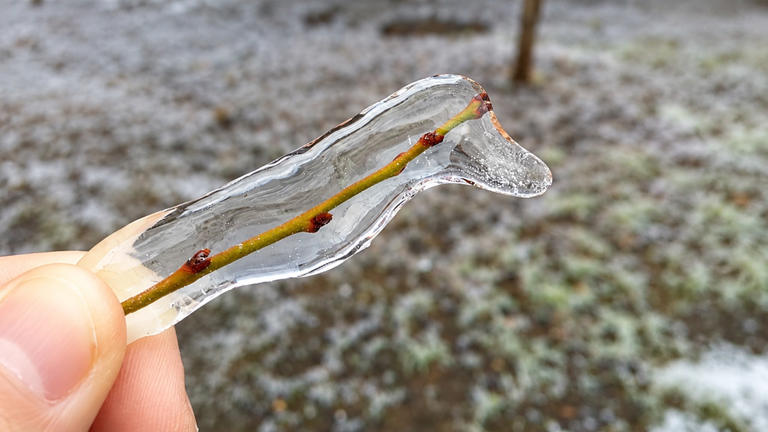 6 curious natural patterns you might walk straight past