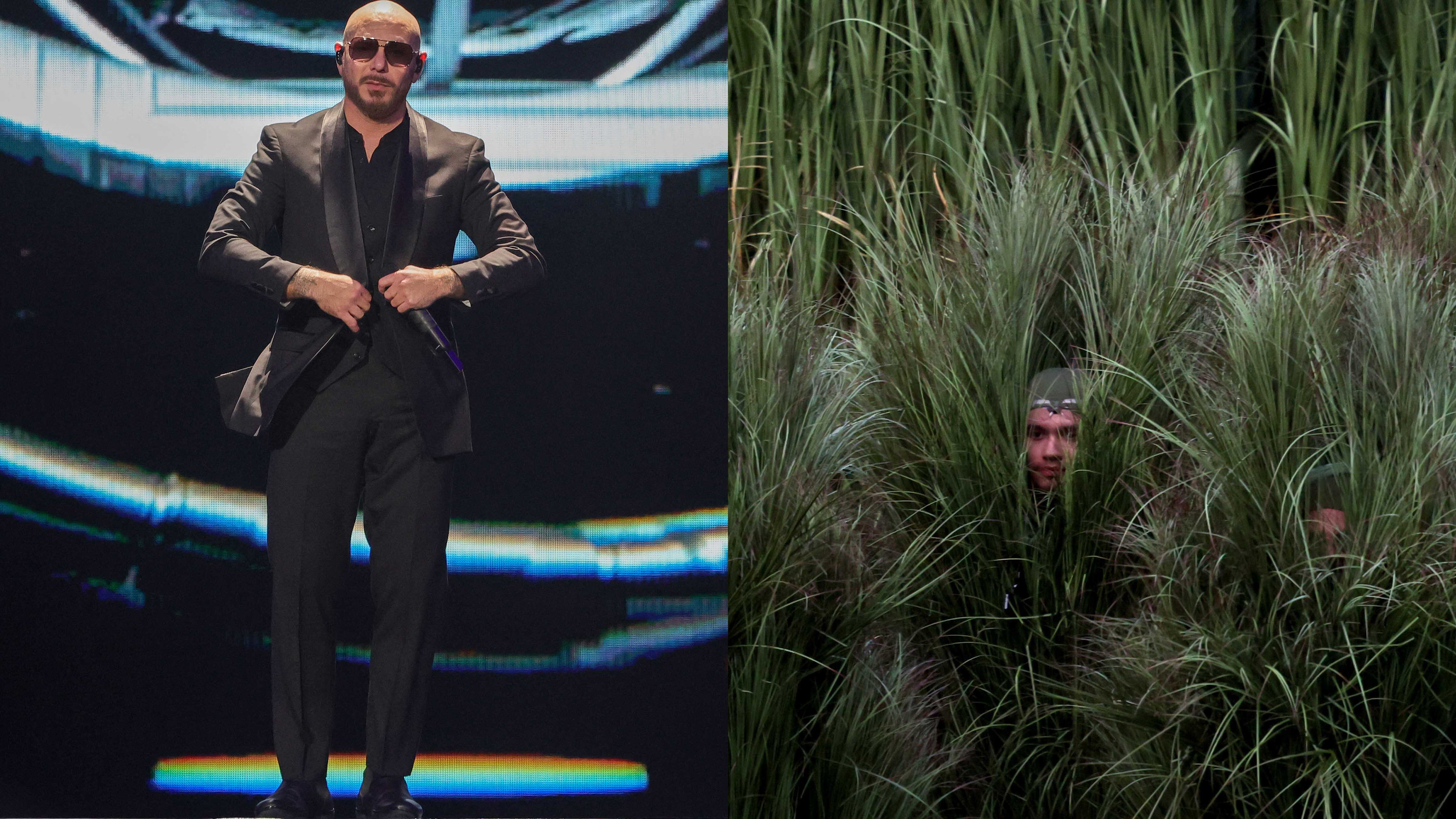 Halloween costumes 2026: From Pitbull to Bad Bunny's bushes, seven pop ...
