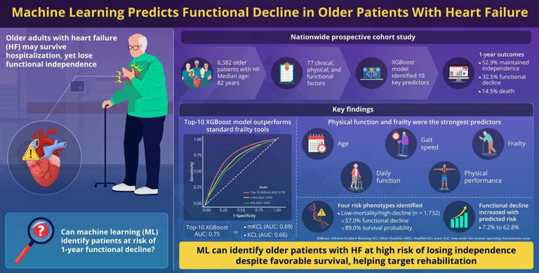 Machine learning spots hidden risk of functional decline after heart ...