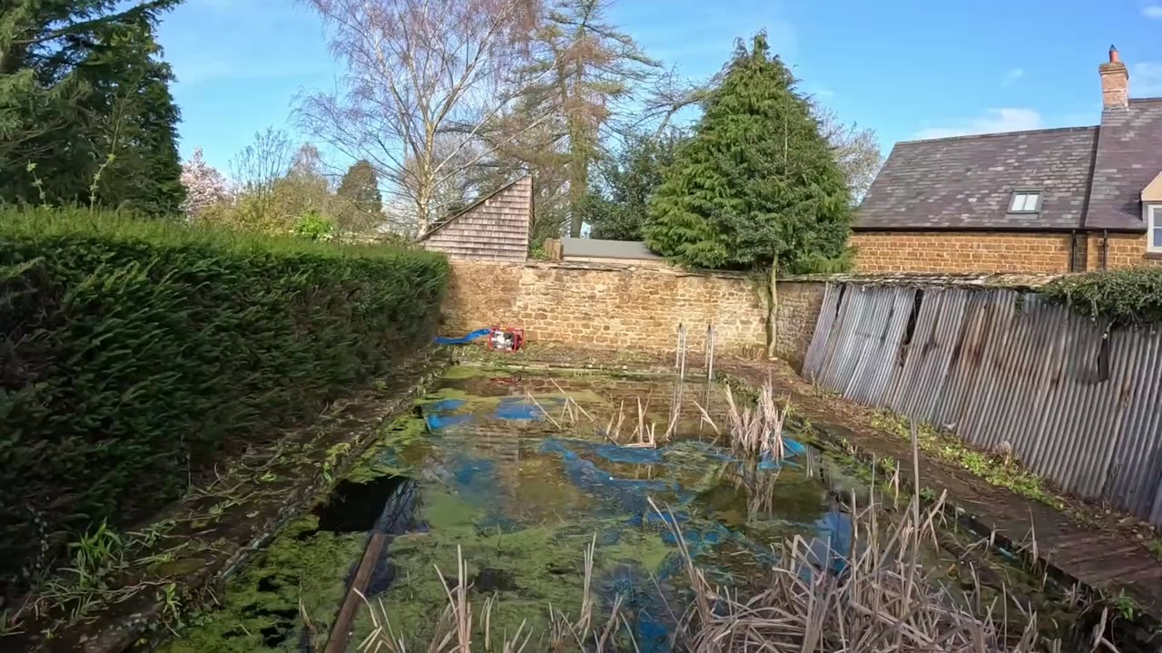 Full transformation of the swamp pool