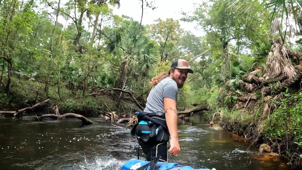 A Florida riverbank reveals fossils from animals that roamed during the ...