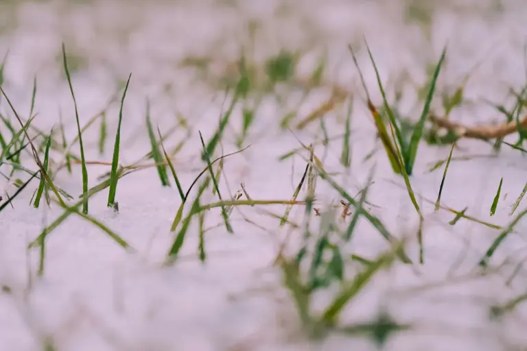 10 winter weather terms explained, from polar vortex to bomb cyclone
