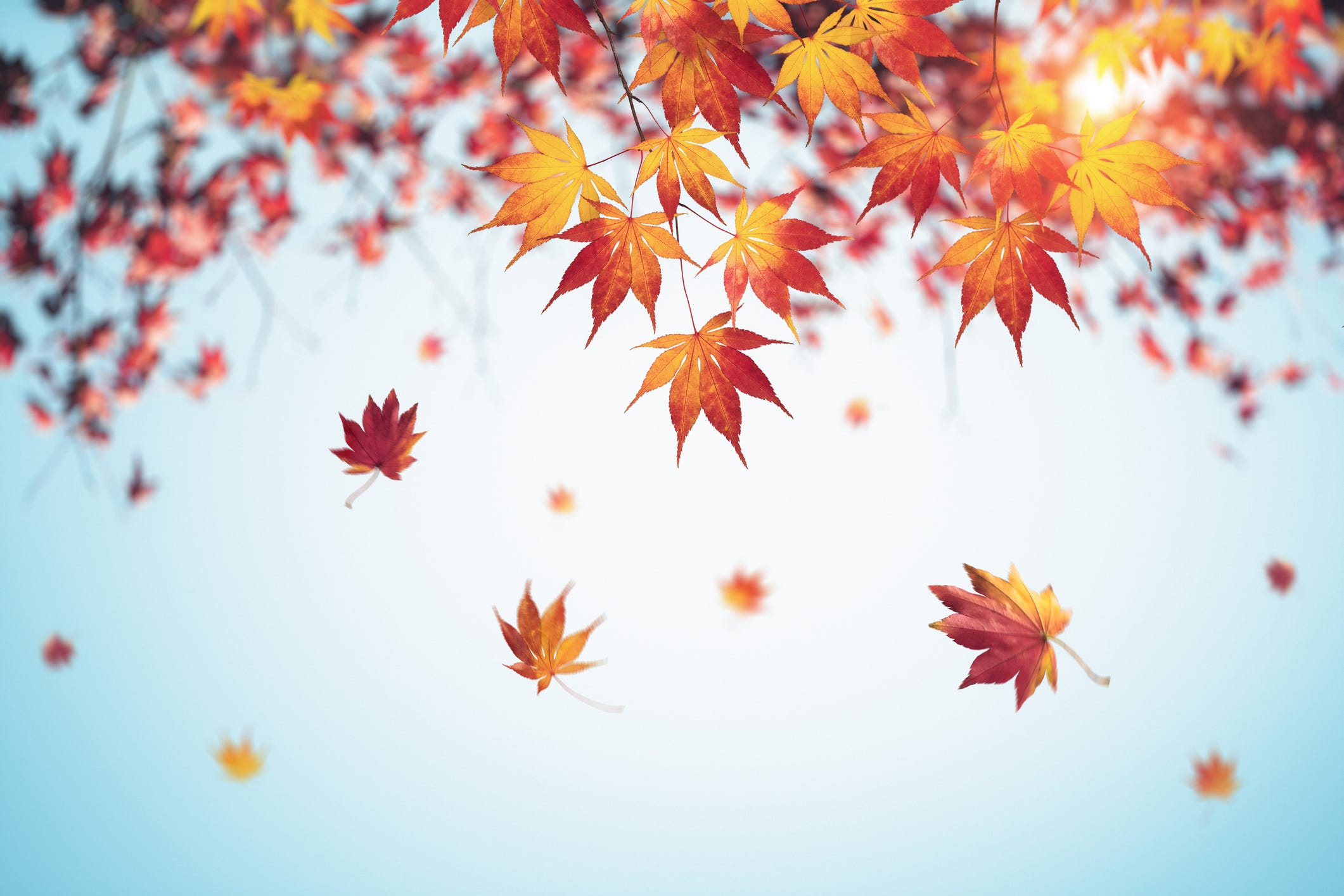 Ohio Thanksgiving weather forecast. Farmers’ Almanac predicts snow