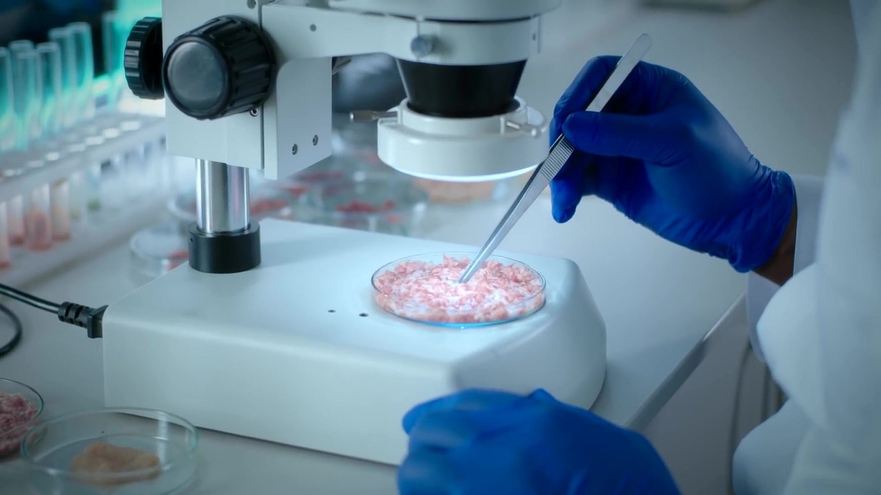 Lab-grown meat could cost $10,000 per pound - scientists face a major ...