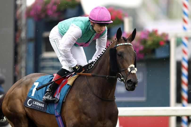 Horse that 'best jockey in Ireland' won over €2.4 million on retired