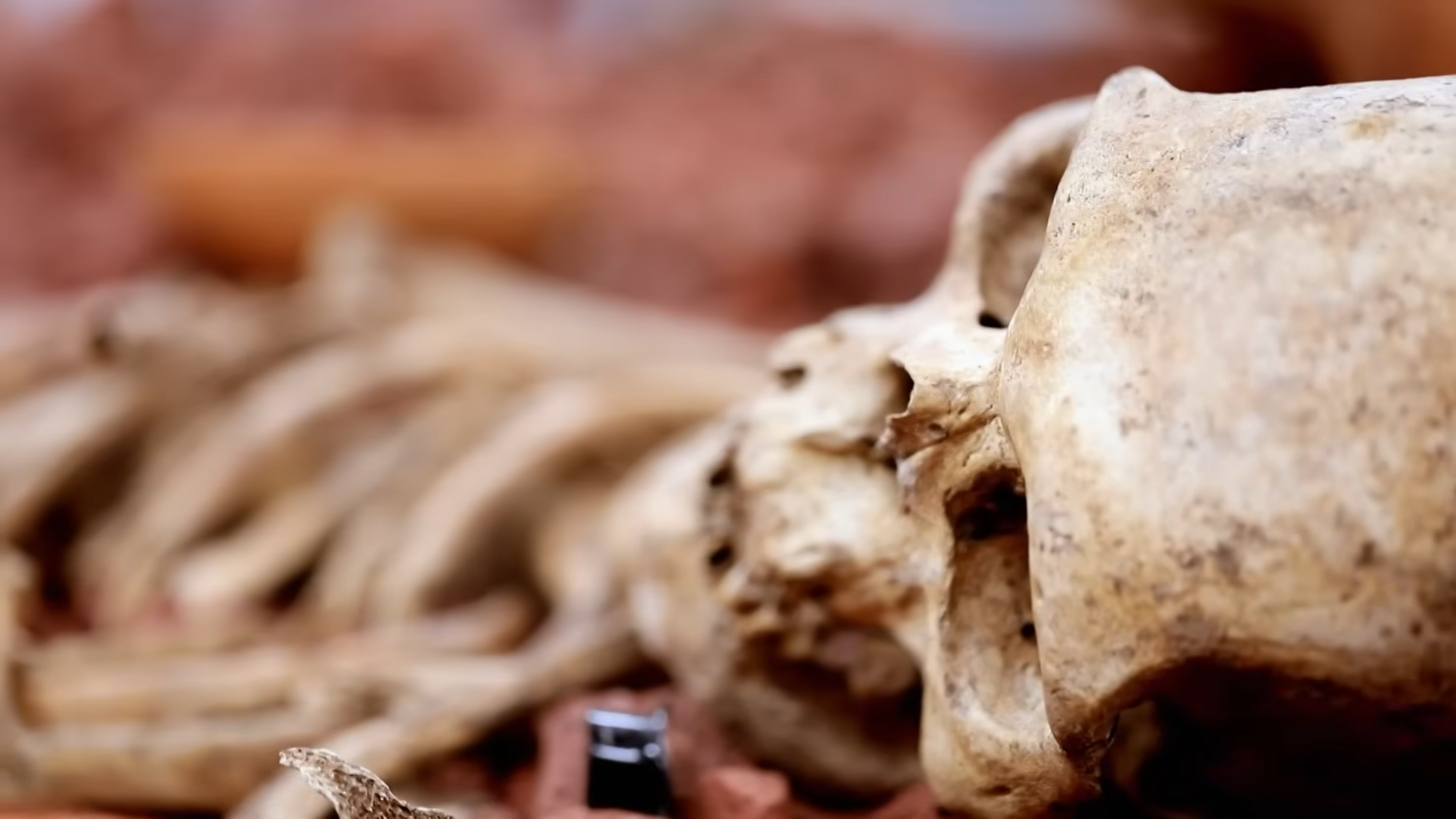 Archaeologists opened an Aztec burial site - then 118 skeletons ...