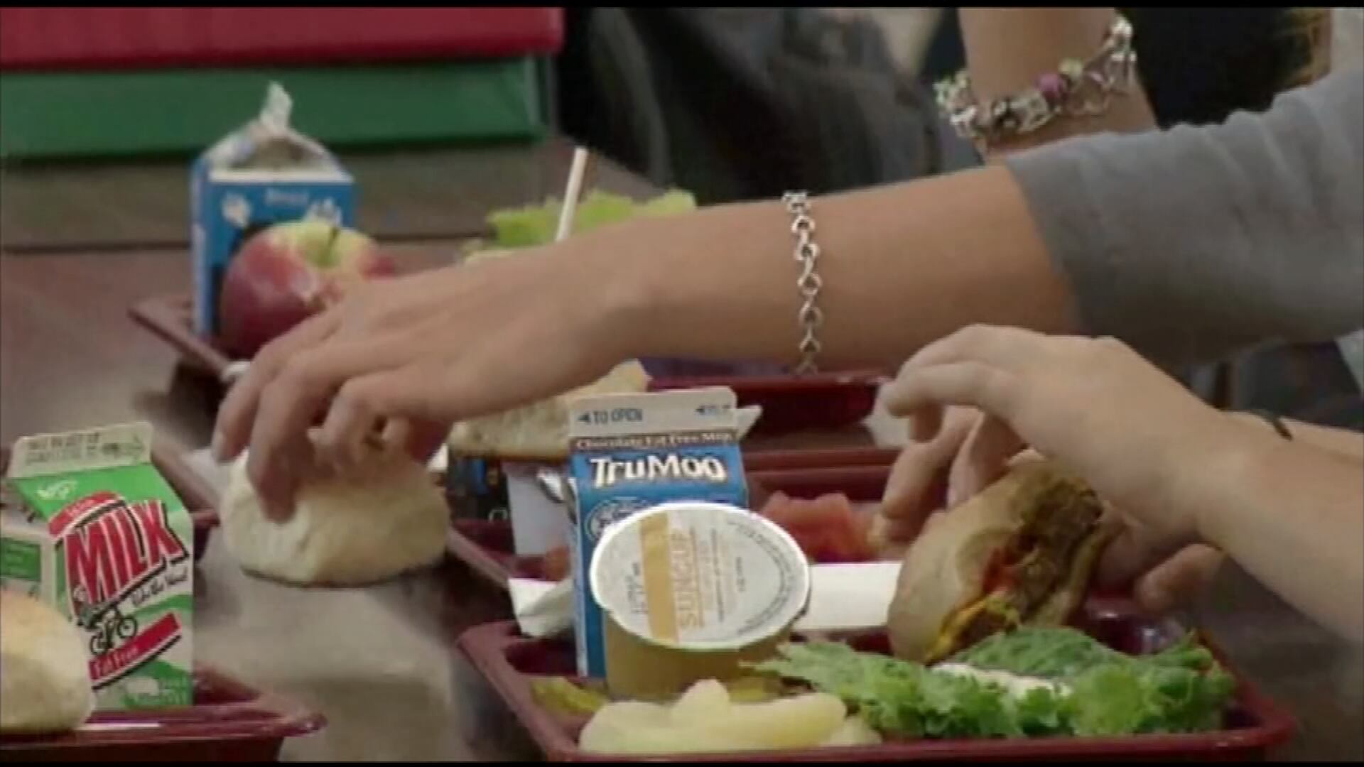 50 schools, organizations recognized for efforts to combat food ...