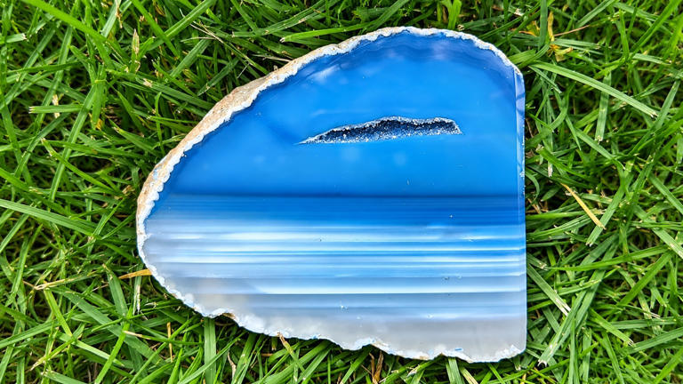 6 curious natural patterns you might walk straight past