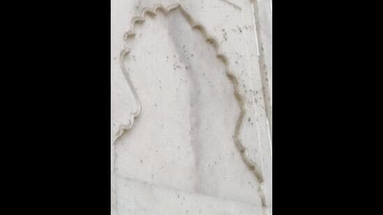 Green patches re-appear on Taj Mahal walls, ASI on alert