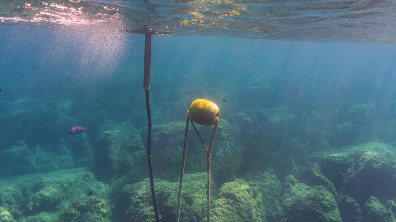 Why some ocean buoys float below the water surface instead of on it