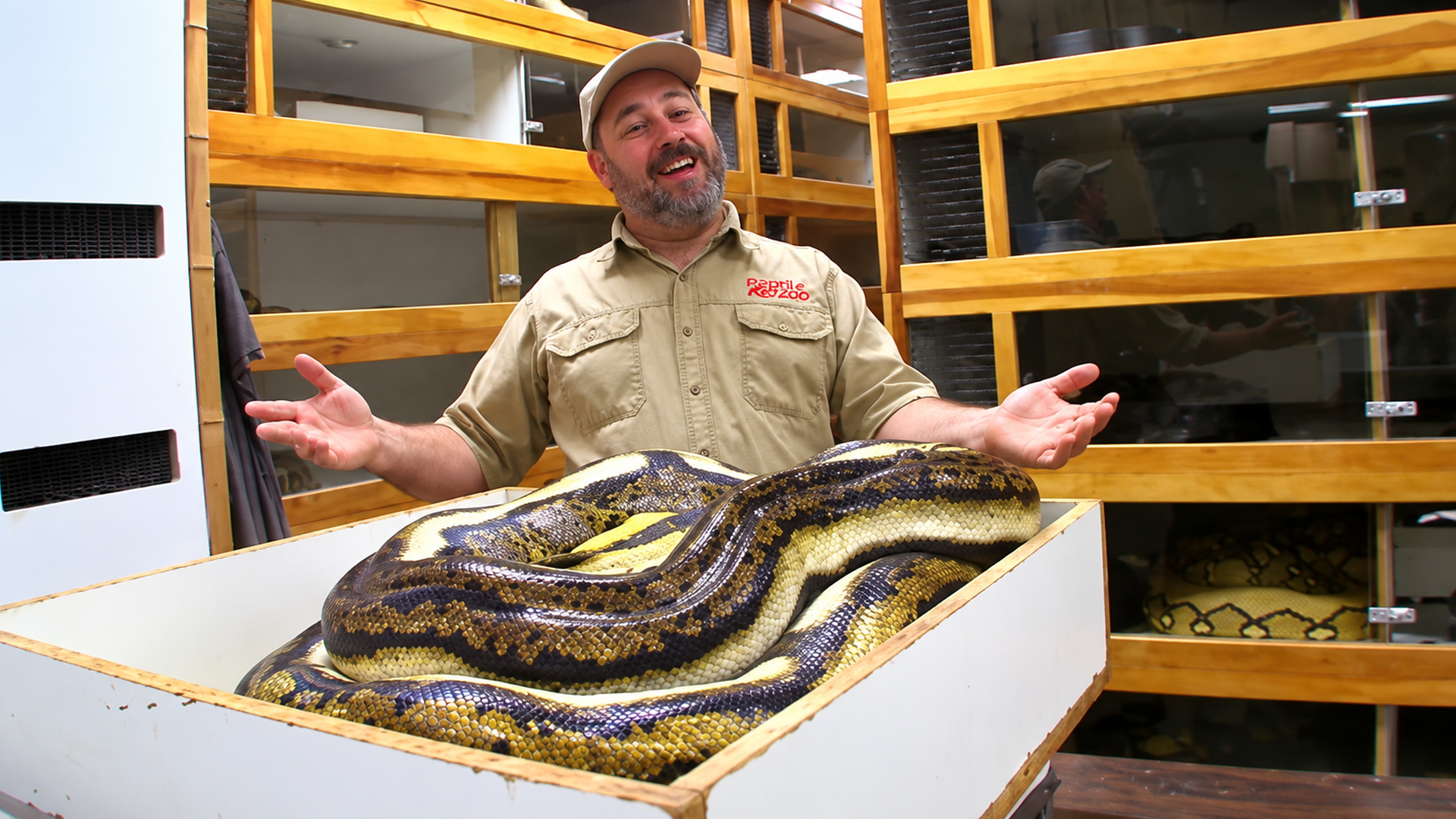 How a giant python breeding facility keeps running
