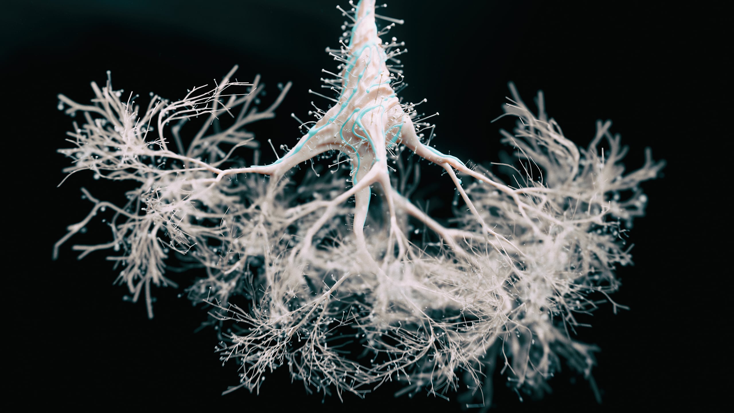 Water may be a hidden trigger behind the spread of Alzheimer's in the brain