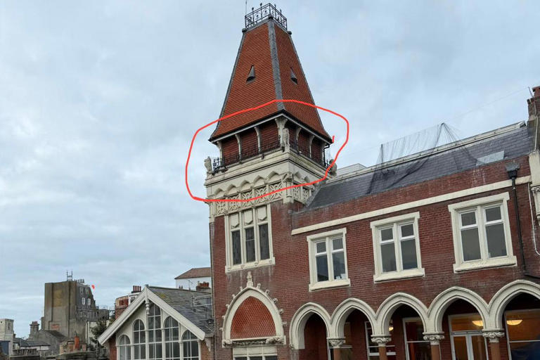 Giant crane used to rescue bird trapped in netting at Hastings Library ...