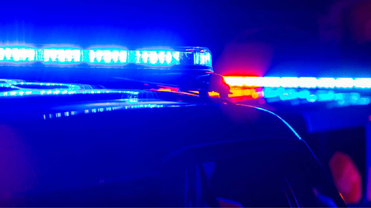 Yale employee shot in attempted carjacking; nearby school delays opening