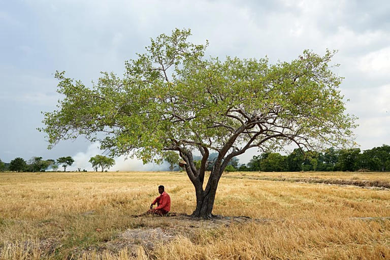 El Niño tracker: How the weather phenomenon is wreaking havoc around ...