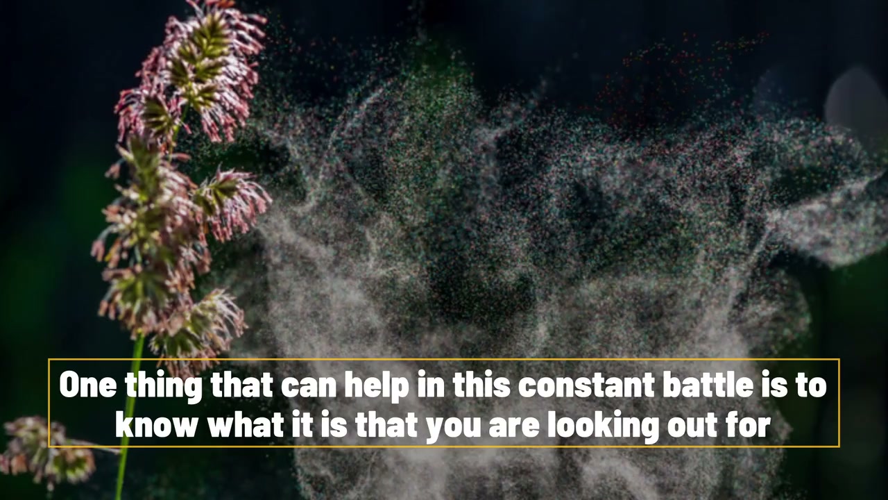 4 everyday plants that cause hay fever