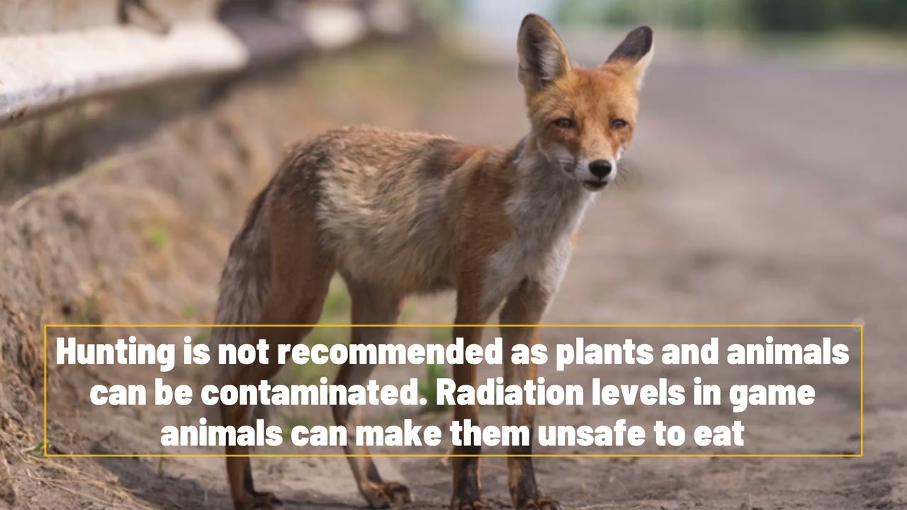 Here’s what food you should eat in a nuclear apocalypse