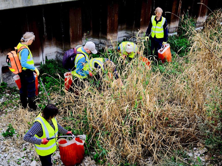 Volunteers help clean up River Lavant's chalk stream