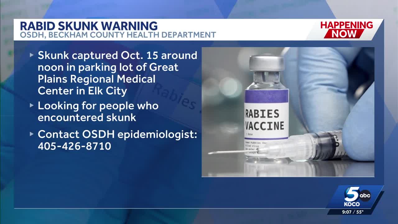 Skunk found in Elk City hospital parking lot tests positive for rabies