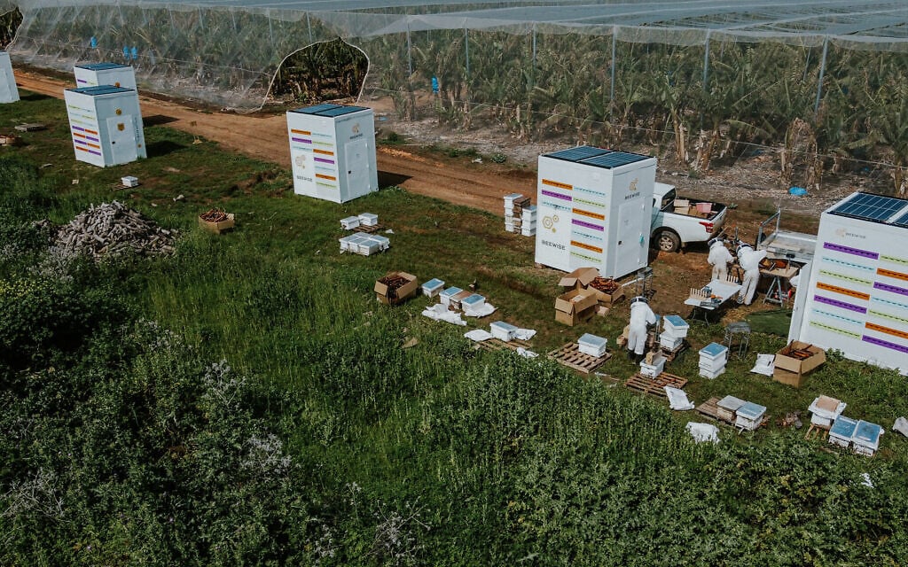 Robotic beehives and cancer-sniffing dogs: Israeli innovations make ...