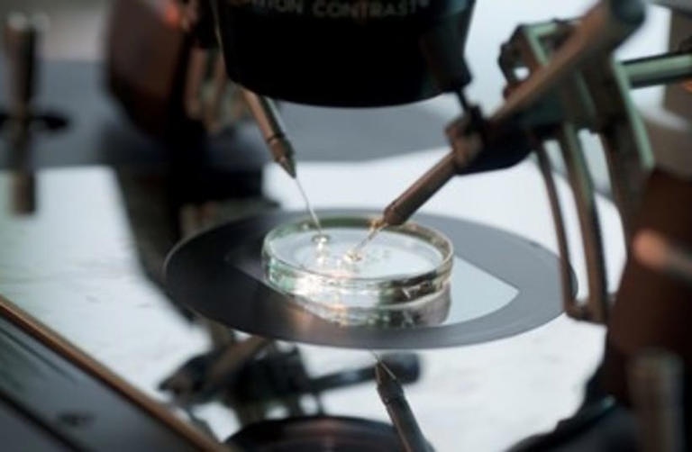 Dozens of women, IVF doctors arrested in Turkey over alleged ...