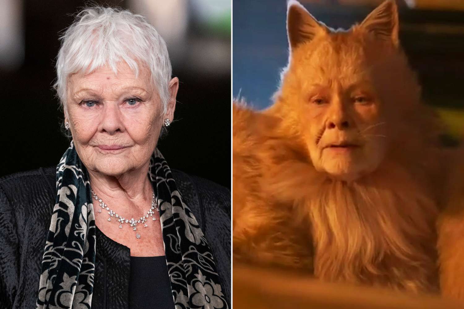 Judi Dench hasn’t seen her Cats movie, but she calls it a waste of all ...