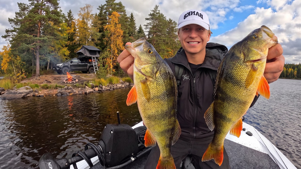 48 hour Sweden fishing adventure - big perch, pike burgers & rooftop ...