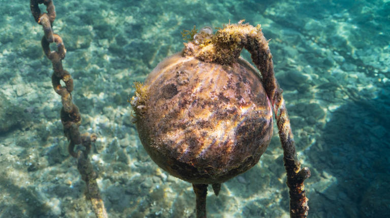 Why some ocean buoys float below the water surface instead of on it
