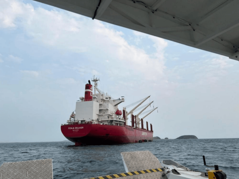 Pacific Lime and Cement lands major kiln cargo as PNG quicklime push ...
