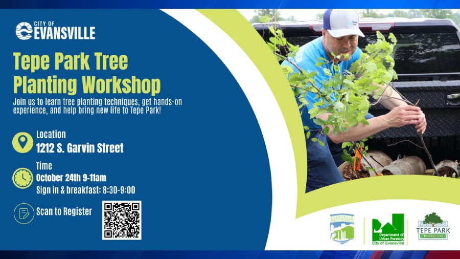 Volunteers help plant trees to expand Evansville’s urban forest