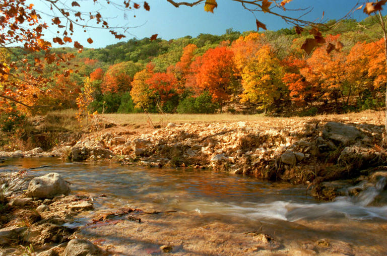 As temperatures fall, when will fall foliage peak across Texas? Here's ...
