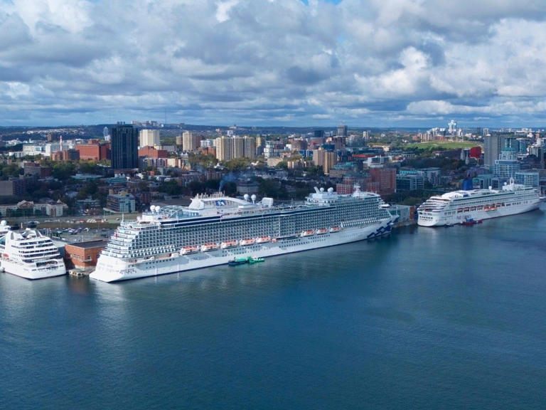 'Is this a joke?': Cruise ship heading for the Bahamas rerouted to Nova ...
