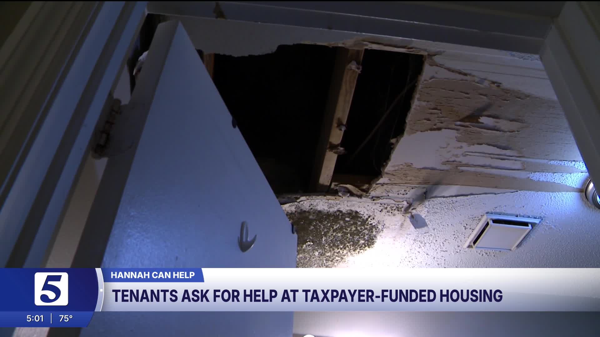Rats, mold, and failed inspections: Fairview residents say apartments ...