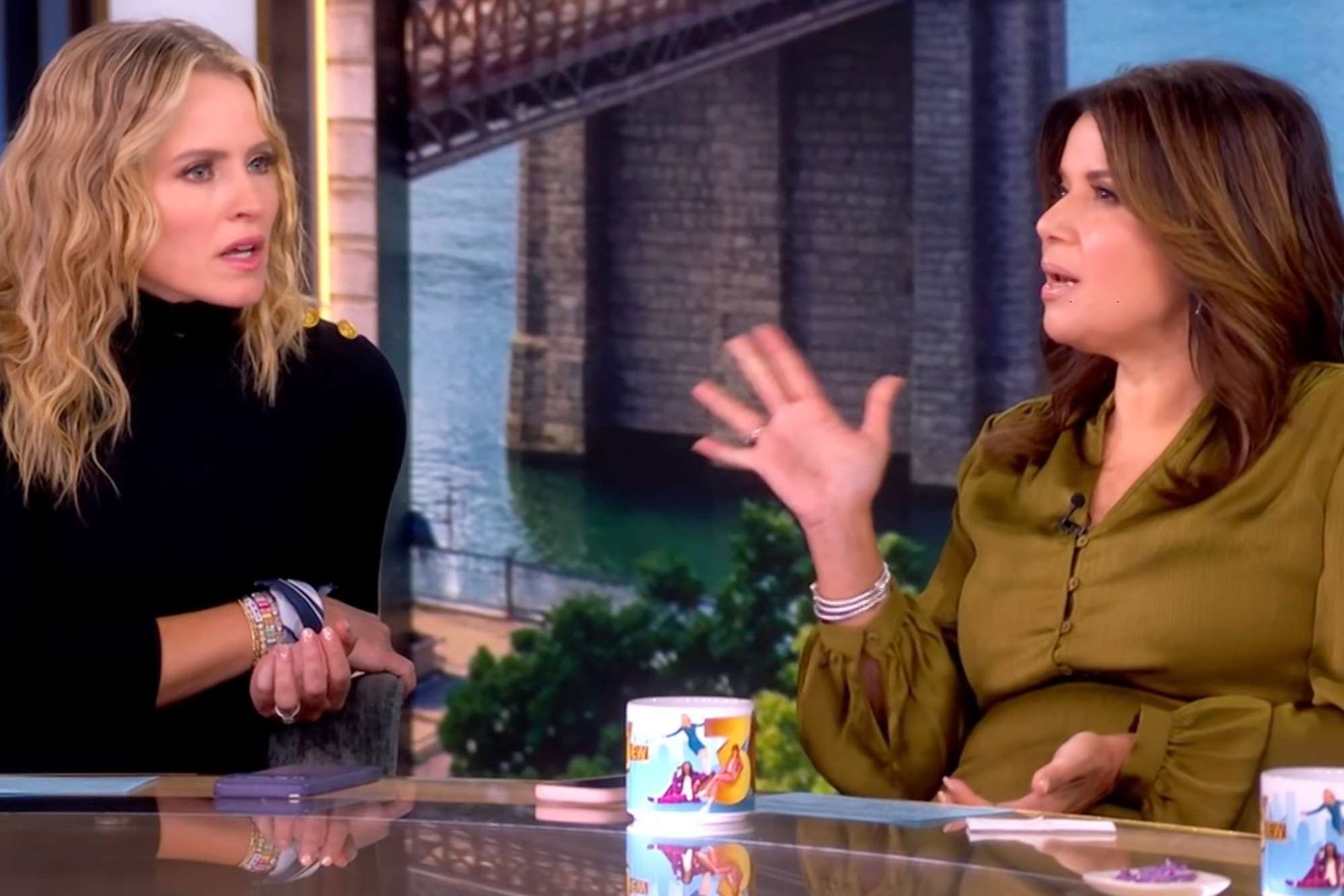 Ana Navarro shuts down The View cohosts for joking amid tense Donald ...