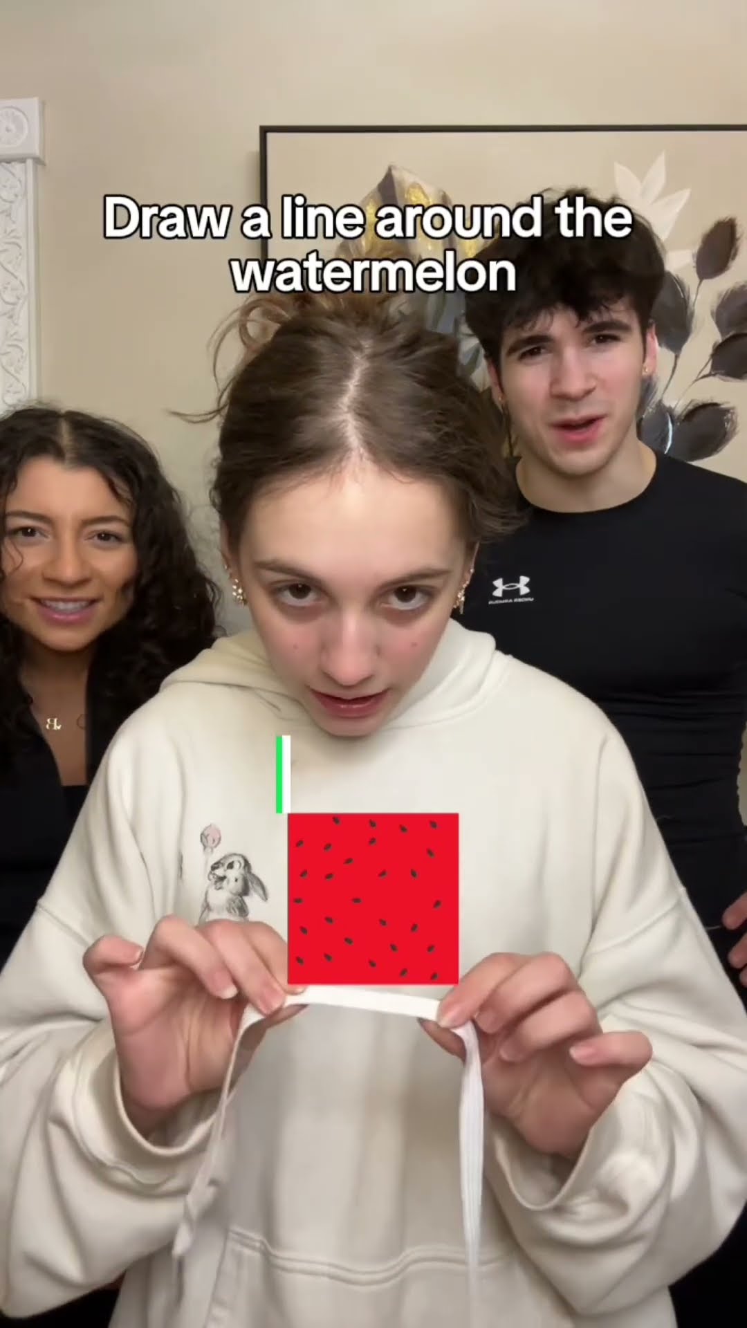 Can you draw a line around the watermelon?