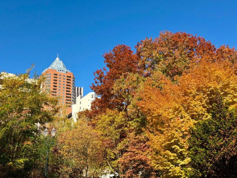 Warmer, sunny weather returns to Portland