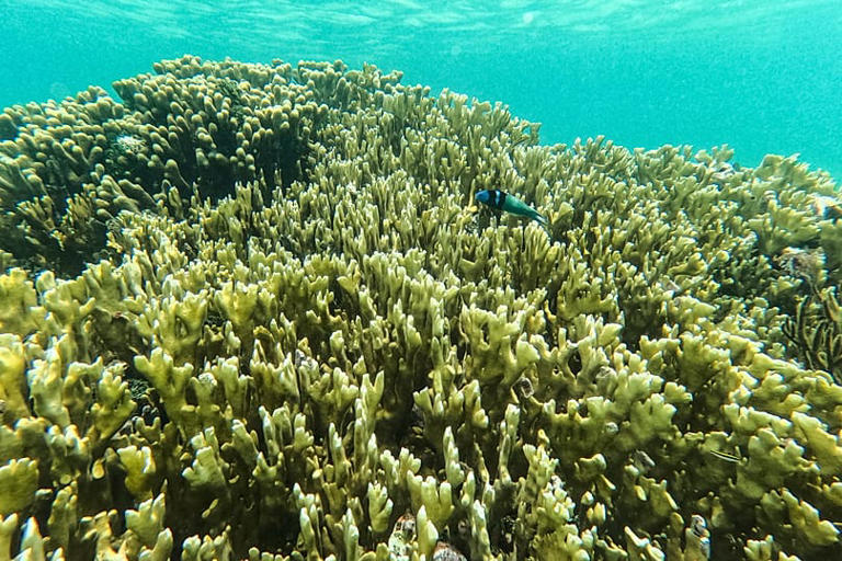 El Niño tracker: How the weather phenomenon is wreaking havoc around ...