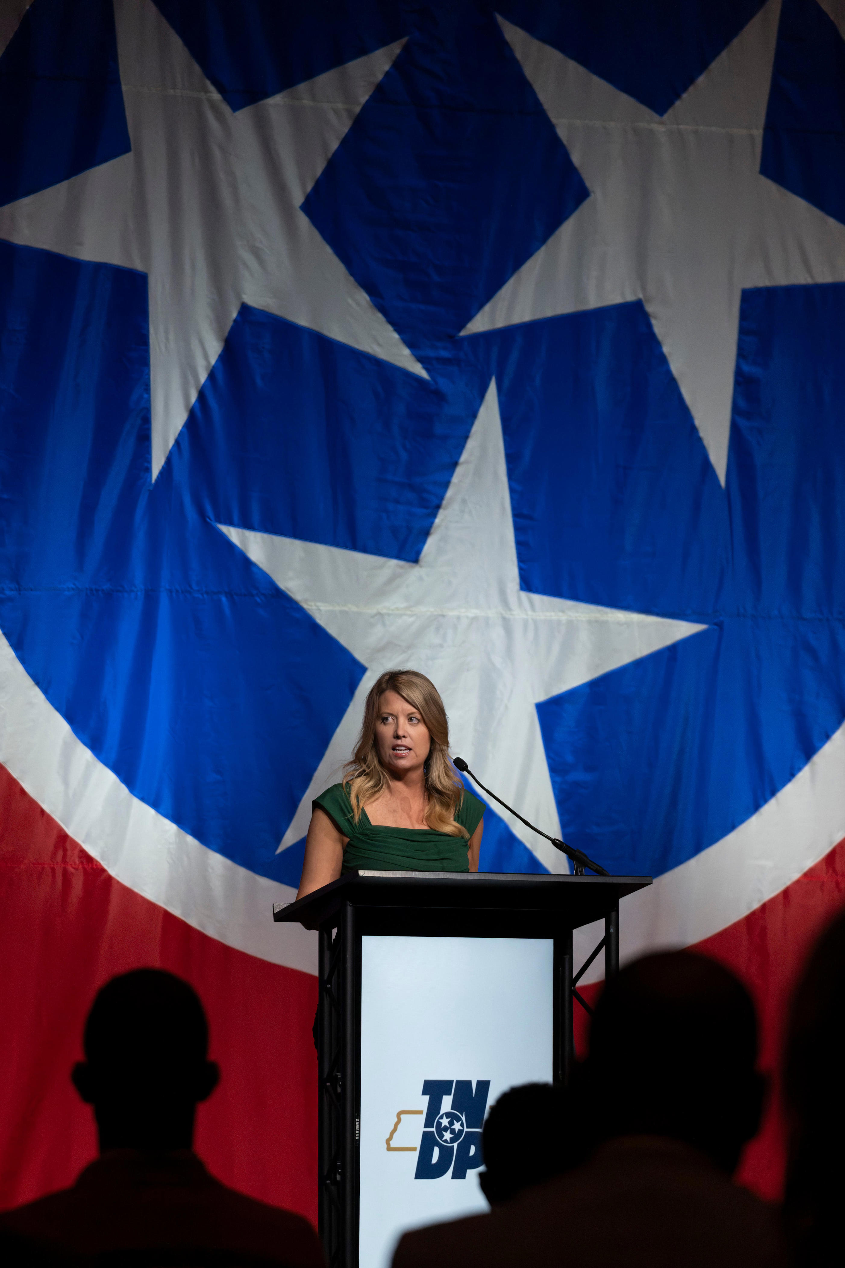 Blackburn leads Green by 12 points in new TN governor's race poll