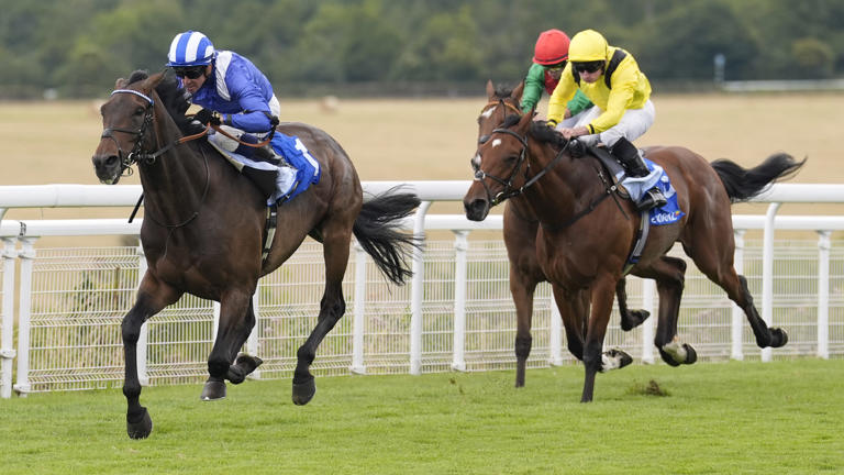 Testing ground could see Al Aasy bypass Newbury