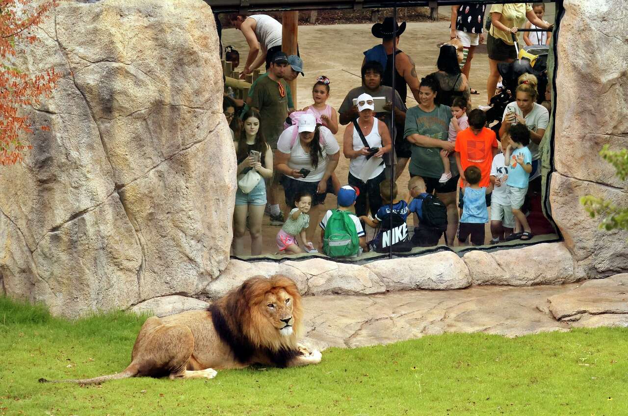 Tell us: What questions do you have for D-FW zookeepers?