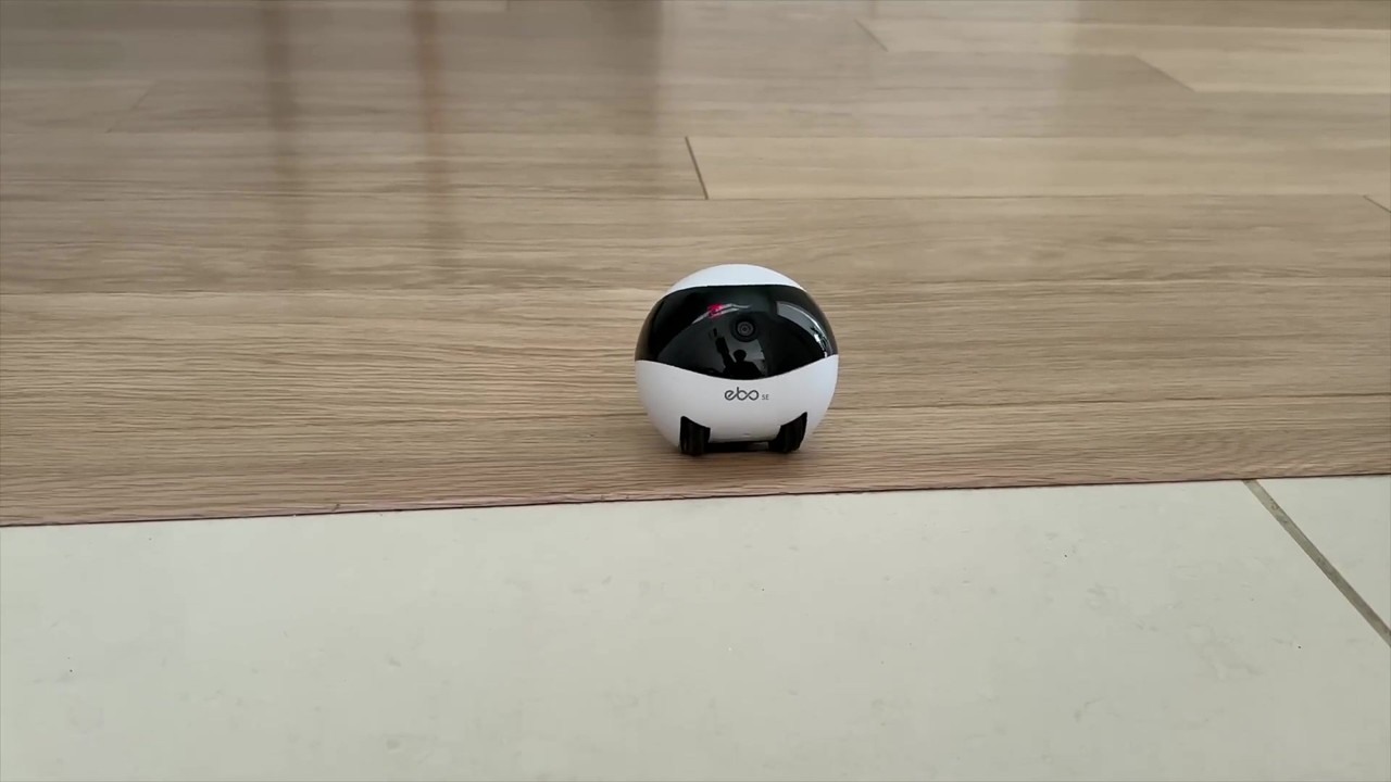 Automated feeders and cameras try to handle daily cat care