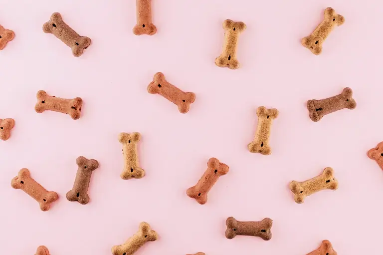 Rabbit, guinea pig or hamster: Which small pet fits which household