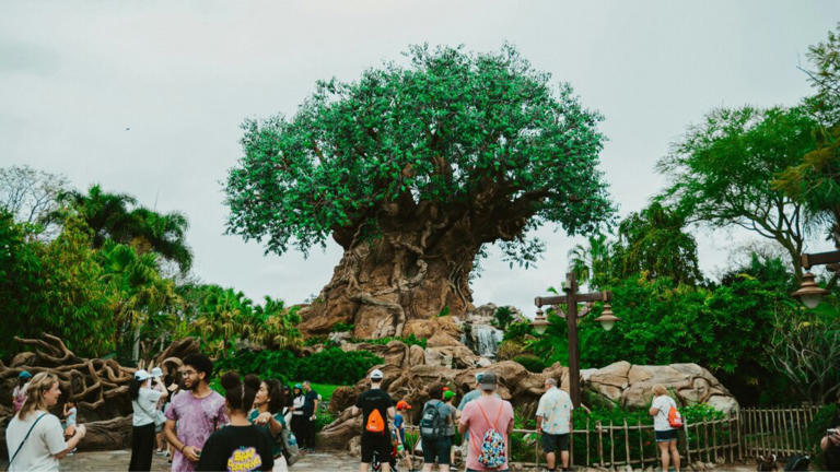 Disney's 2027 ticket prices are out, and visitors could be in for ...