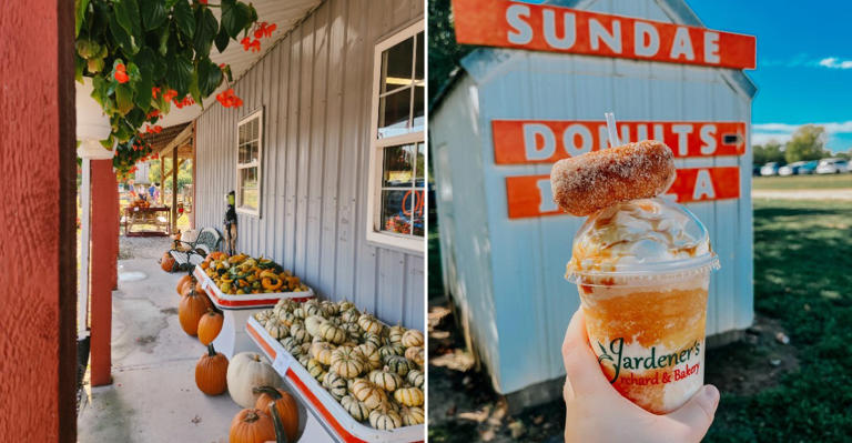 We ranked 6 Missouri apple cider donut spots from good to absolutely ...