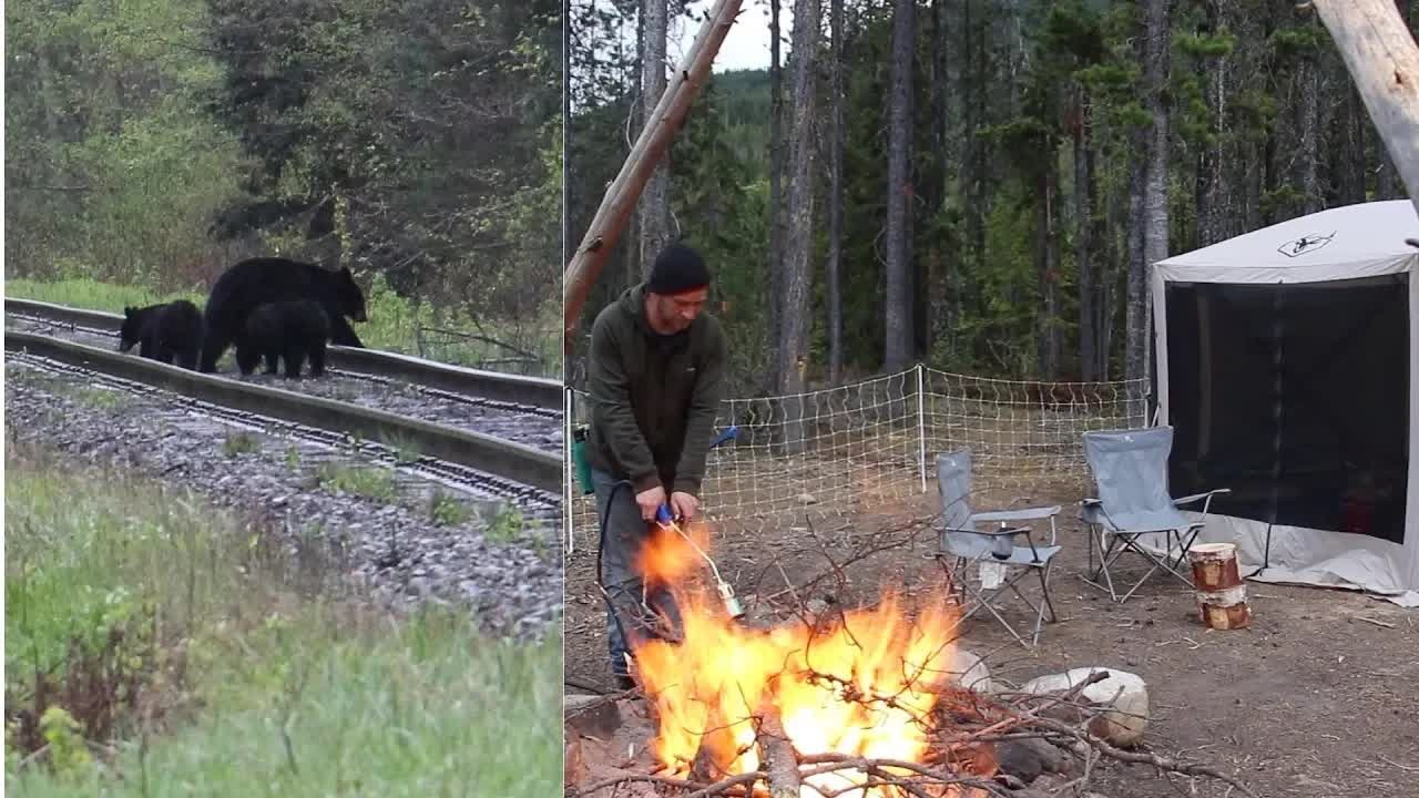 Steve Wallis camps with his wife and spots 12 bears