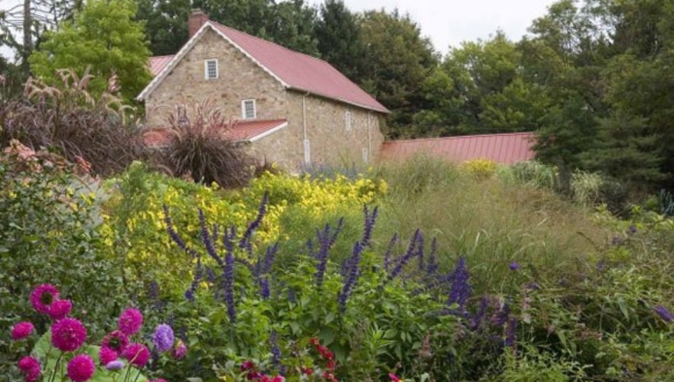 Burpee sold: Historic seed company acquired by Central Garden & Pet