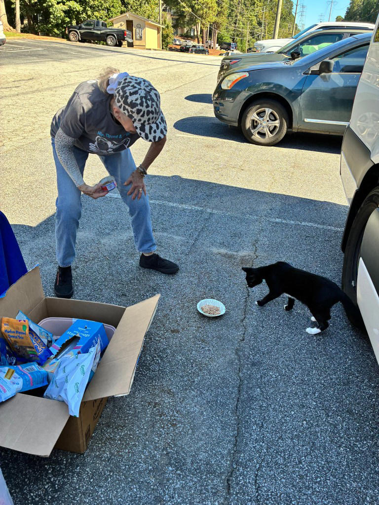 Community cats in Brookhaven receive free veterinary care and supplies