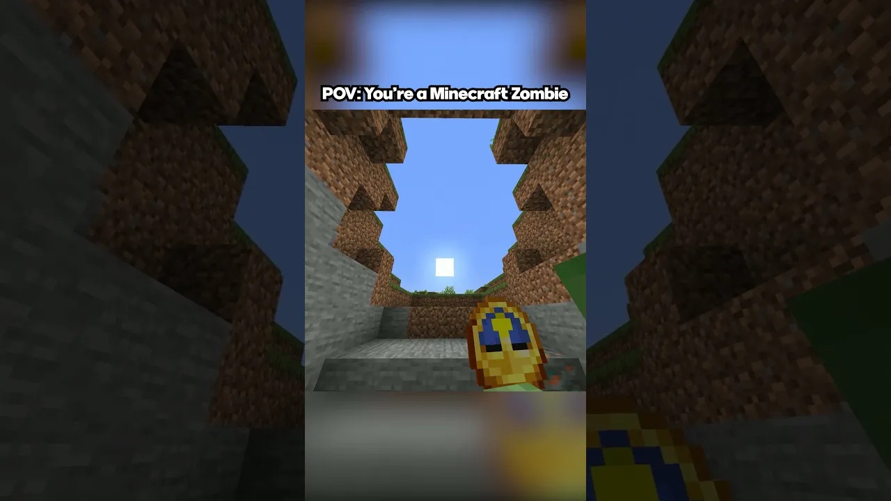 POV: You're a Minecraft zombie