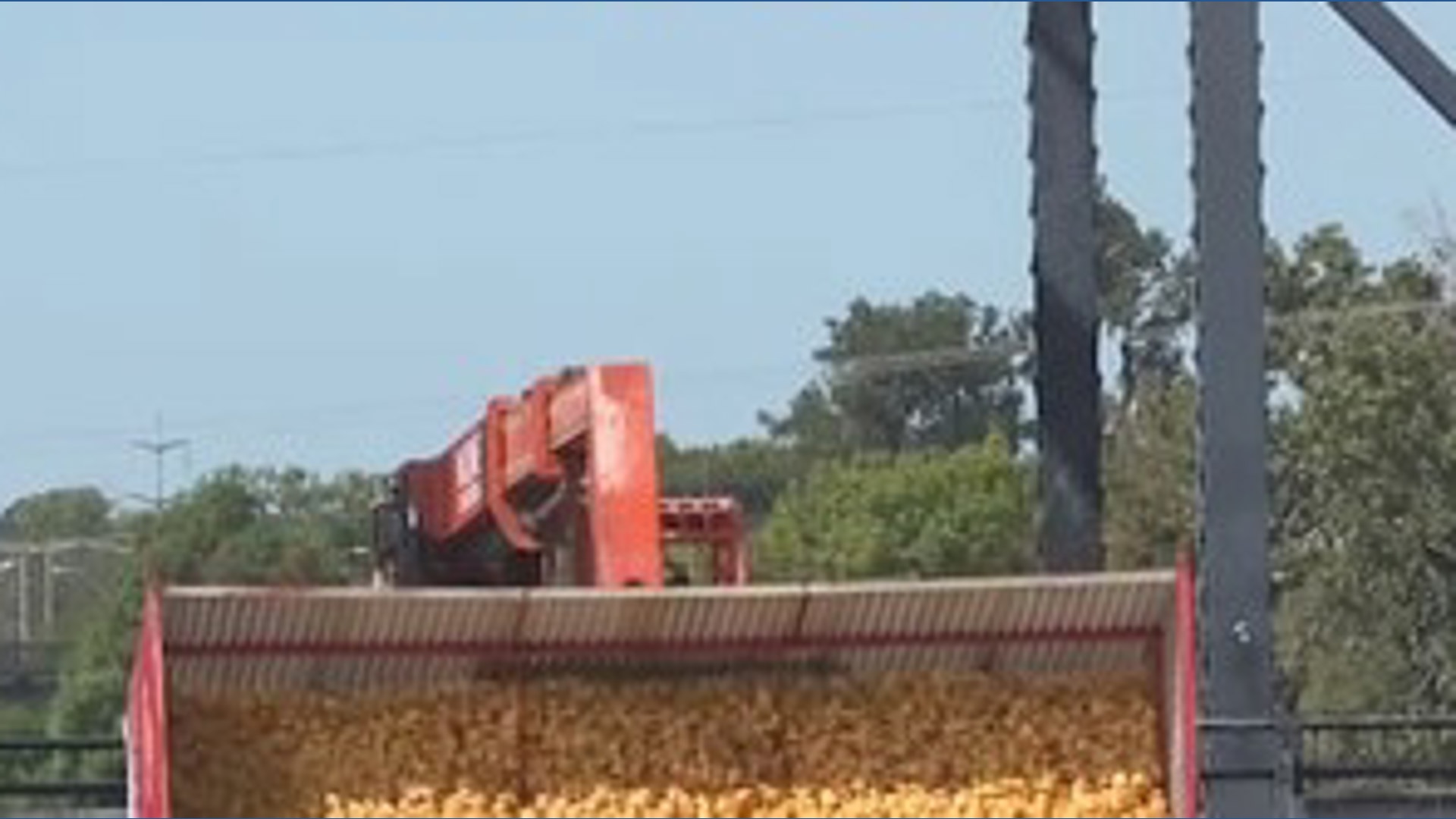 11,000 rubber ducks race in Brazos River in Texas